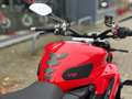 Ducati Streetfighter V2 | "À Saisir" Rouge - thumbnail 16