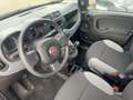 Fiat Panda 1.0 GSE City Plus Klimanlage Noir - thumbnail 12