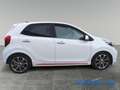 Kia Picanto Picanto 1.2 12V 5 porte GT Line  SUPER SPORTIVA M Blanc - thumbnail 4