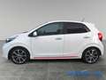 Kia Picanto Picanto 1.2 12V 5 porte GT Line  SUPER SPORTIVA M Blanc - thumbnail 5