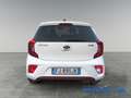 Kia Picanto Picanto 1.2 12V 5 porte GT Line  SUPER SPORTIVA M Blanc - thumbnail 6