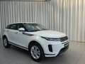 Land Rover Range Rover Evoque P300e Matrix KlimaA LM Weiß - thumbnail 3