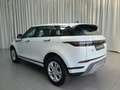 Land Rover Range Rover Evoque P300e Matrix KlimaA LM Weiß - thumbnail 6