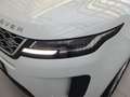 Land Rover Range Rover Evoque P300e Matrix KlimaA LM Weiß - thumbnail 8