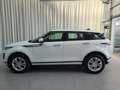 Land Rover Range Rover Evoque P300e Matrix KlimaA LM Weiß - thumbnail 7