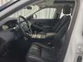 Land Rover Range Rover Evoque P300e Matrix KlimaA LM Weiß - thumbnail 13