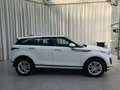 Land Rover Range Rover Evoque P300e Matrix KlimaA LM Weiß - thumbnail 4