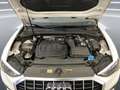 Audi Q3 40 2.0 tdi business advanced quattro 200cv s-troni Bianco - thumbnail 10
