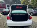 Mercedes-Benz E 220 E 220 BlueTec (212.001) Weiß - thumbnail 7
