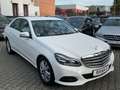 Mercedes-Benz E 220 E 220 BlueTec (212.001) Weiß - thumbnail 3