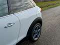 MINI Cooper S Paceman Mini 1.6 Chili / Panodak / Leder / Xenon Weiß - thumbnail 15
