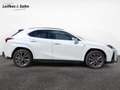 Lexus UX 250h F SPORT - thumbnail 6