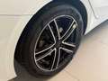 Kia Ceed / cee'd Kia ceed SW 1,4 MPI GPF Titan Weiß - thumbnail 9