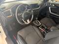 Kia Ceed / cee'd Kia ceed SW 1,4 MPI GPF Titan Weiß - thumbnail 4