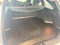 Kia Ceed / cee'd Kia ceed SW 1,4 MPI GPF Titan Weiß - thumbnail 8