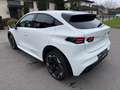 Renault Clio Techno TCe 115 18 Zoll Navi Kamera Weiß - thumbnail 2