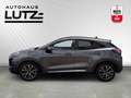 Ford Puma TitaniumMild Hybrid AHK-abnehmbar Navi LED Mehrzon Gris - thumbnail 2
