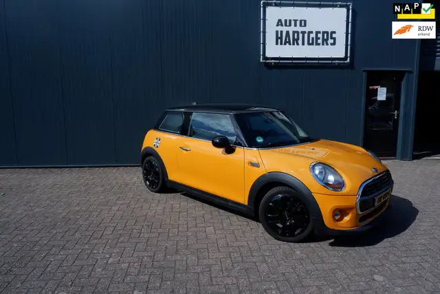 MINI Mini