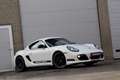 Porsche Cayman R - Manual/CarbonSeats/SportExhaust *FULL HISTORY* Blanc - thumbnail 9