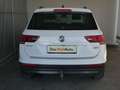 Volkswagen Tiguan Comfortline TDI SCR 4MOTION Weiß - thumbnail 5