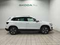 Skoda Karoq 1.0 TSI Ambition Wit - thumbnail 3