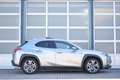 Lexus UX 300e Executive 54 kWh Panodak! | Mark Levinson Sound Grijs - thumbnail 9