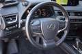 Lexus UX 300e Executive 54 kWh Panodak! | Mark Levinson Sound Grijs - thumbnail 6