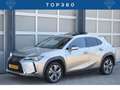 Lexus UX 300e Executive 54 kWh Panodak! | Mark Levinson Sound Grijs - thumbnail 1