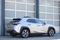 Lexus UX 300e Executive 54 kWh Panodak! | Mark Levinson Sound Grijs - thumbnail 17