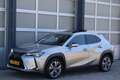 Lexus UX 300e Executive 54 kWh Panodak! | Mark Levinson Sound Grijs - thumbnail 27