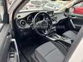 Mercedes-Benz X 350 d 4Matic Doppelkabine mit Hadtop Weiß - thumbnail 12