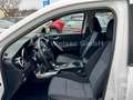 Mercedes-Benz X 350 d 4Matic Doppelkabine mit Hadtop Weiß - thumbnail 11