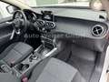 Mercedes-Benz X 350 d 4Matic Doppelkabine mit Hadtop Weiß - thumbnail 18