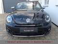 Volkswagen Beetle 2.0TSI DSG R-Line Individual / Exclusive Schwarz - thumbnail 5