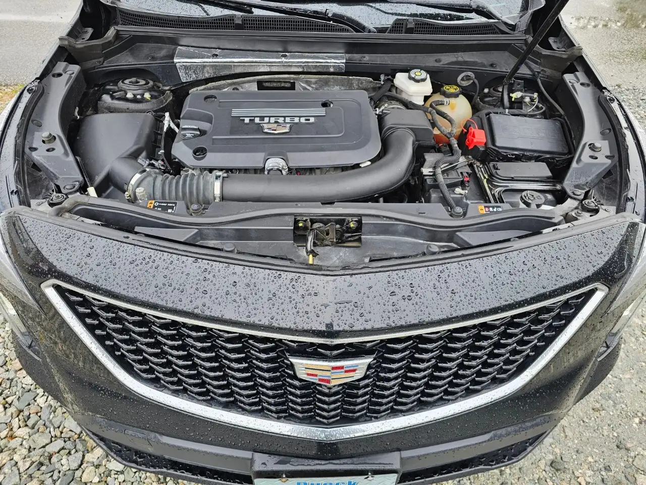 Cadillac XT4 снимка Cadillac XT4