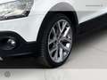 Volkswagen Polo Cross 5p 1.4 tdi bm cross dsg Wit - thumbnail 6
