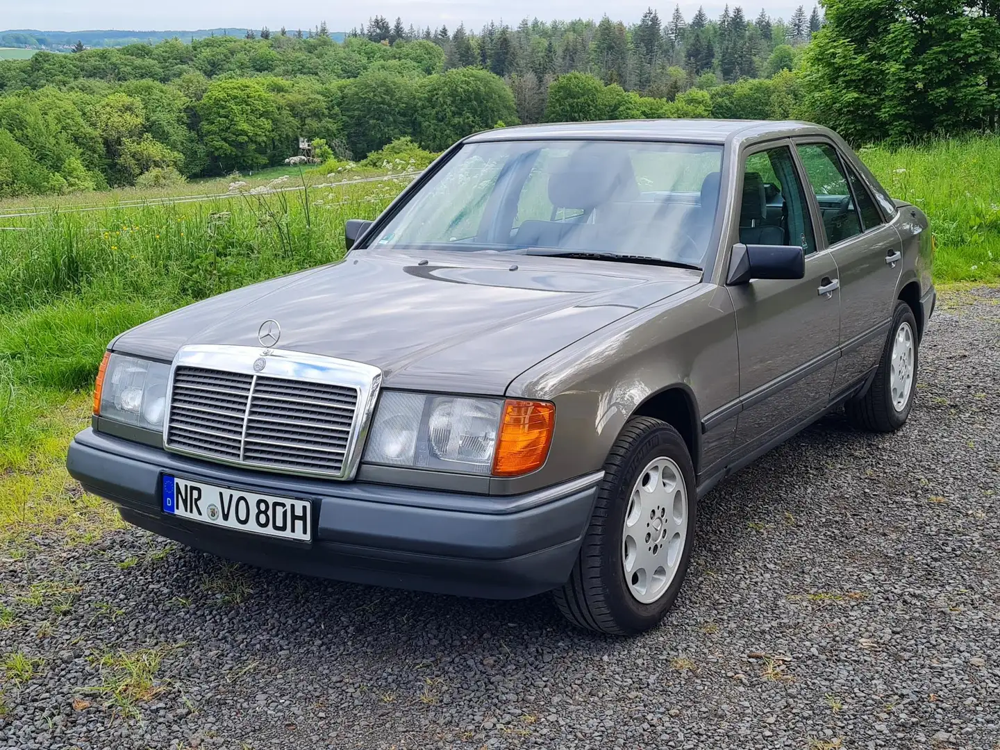 Mercedes-Benz Baureihe 124 Limo Grau - 2