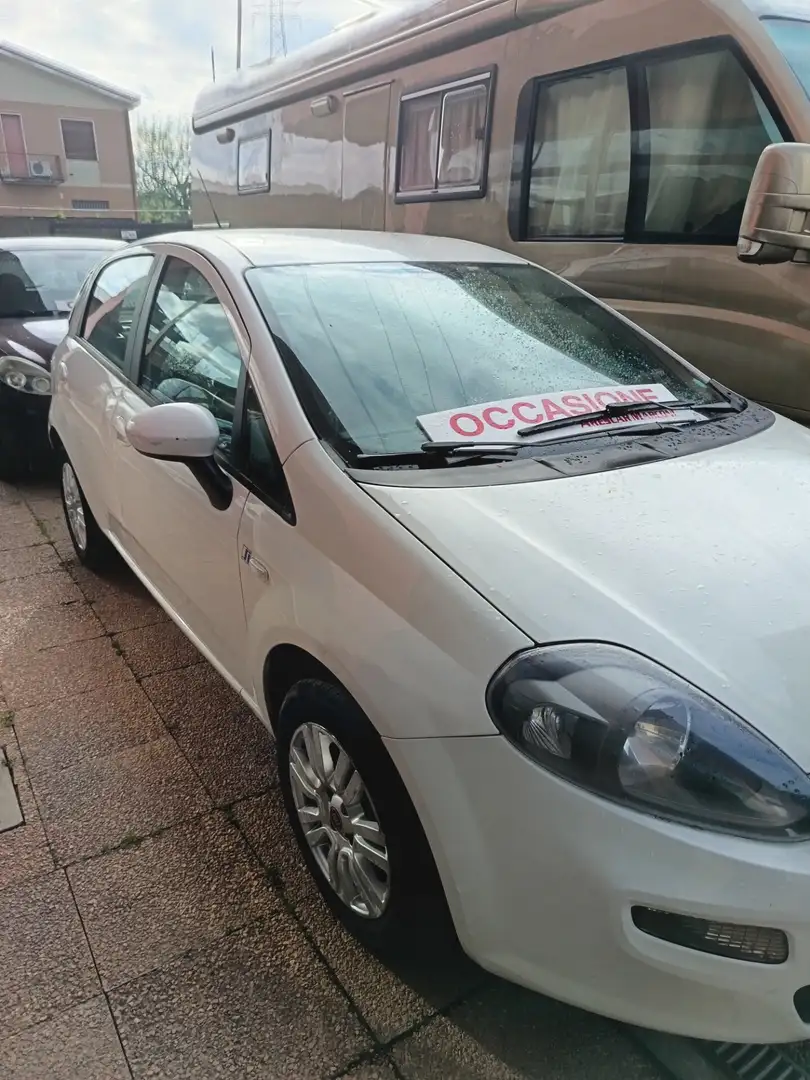Fiat Punto Evo Punto Evo 1.4 5 porte S&S Dynamic Белый - 2