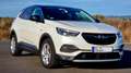 Opel Grandland X Grandland X 2.0 Diesel Innovation Automatik SUV Weiß - thumbnail 8