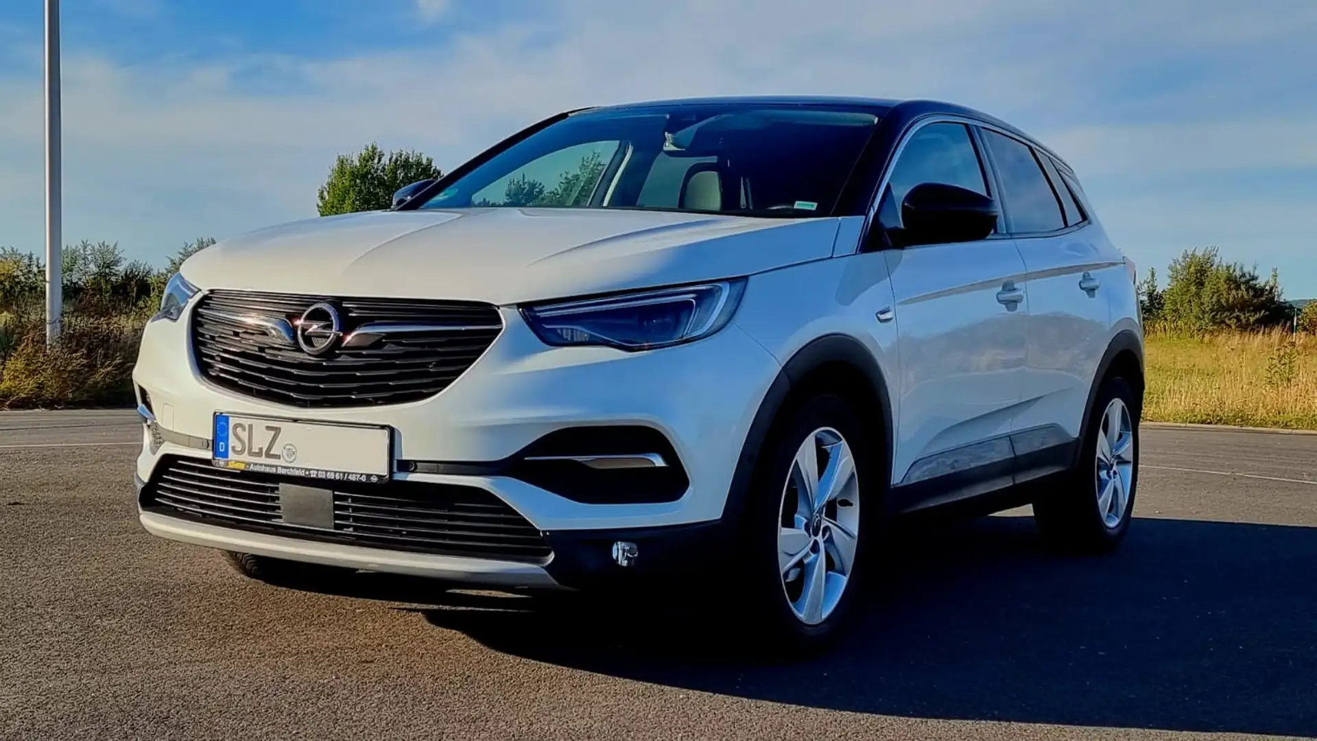 Opel Grandland X Grandland X 2.0 Diesel Innovation Automatik SUV Weiß - 2