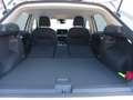 Volkswagen T-Roc 1.5 eTSI 85 kW Life Weiß - thumbnail 13