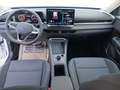Volkswagen T-Roc 1.5 eTSI 85 kW Life Weiß - thumbnail 21
