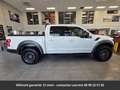 Ford Raptor SuperCrew 4x4 Tout compris hors homologation 4500e Weiß - thumbnail 12