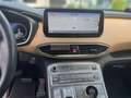 Hyundai SANTA FE Signature Hybrid 2WD Bianco - thumbnail 9