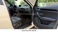 Audi RS Q3 /24Mon. Garantie/Exclusive/Performance/TRAUM Blanc - thumbnail 34