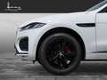 Jaguar F-Pace Diesel D200 AWD R-Dynamic S Weiß - thumbnail 9
