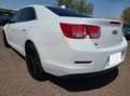 Chevrolet Malibu 2.0L Diesel AT LTZ Weiß - thumbnail 4