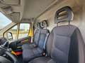 Fiat Ducato 33 2.3 MJT 120CV PLM-TM Furgone Jaune - thumbnail 11