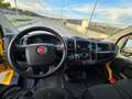 Fiat Ducato 33 2.3 MJT 120CV PLM-TM Furgone Jaune - thumbnail 12