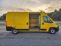 Fiat Ducato 33 2.3 MJT 120CV PLM-TM Furgone Jaune - thumbnail 4